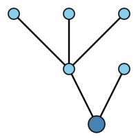 An example of rooted tree